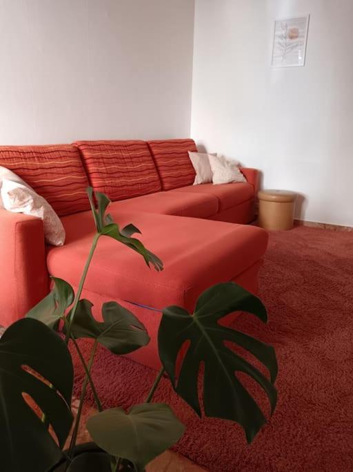 Forti Genova-Free Parking Castellaccio Apartment Buitenkant foto
